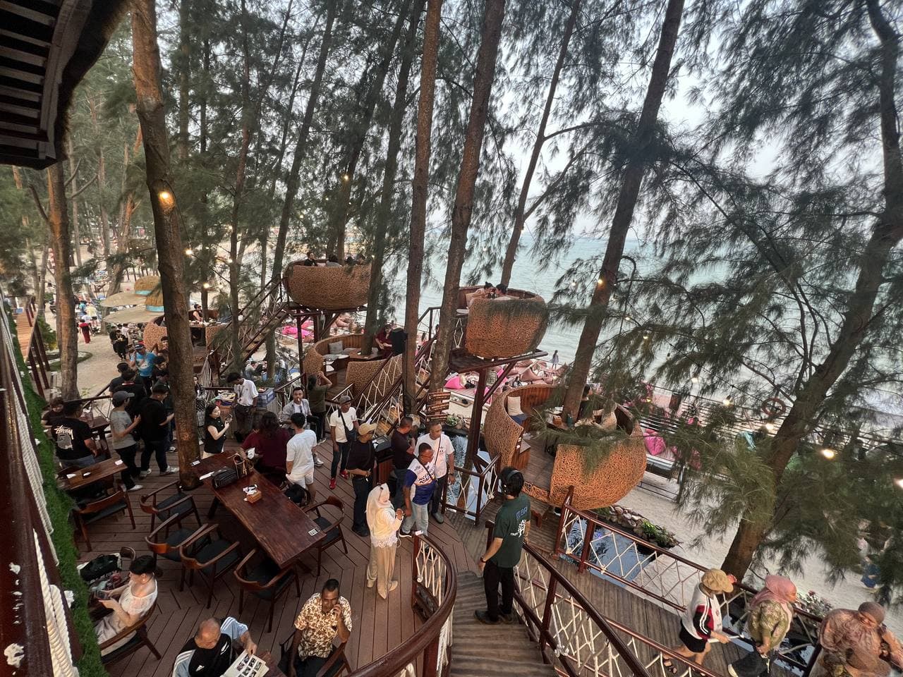Woven nest seats on stilts among the pine trees, the beach and the sea beyond